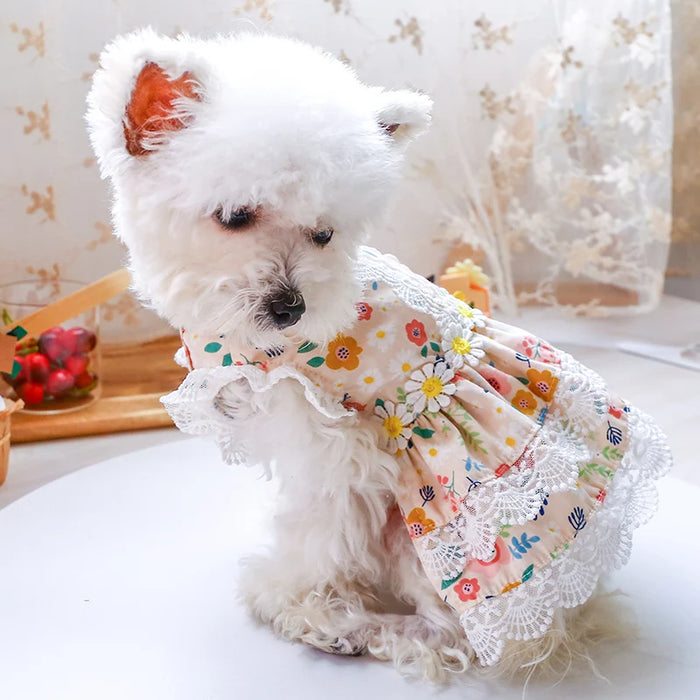 Comfortable Daisy Doggy Dress