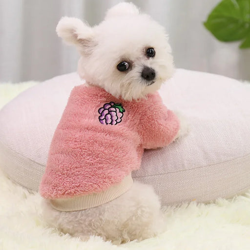 Warm Doggy Sweater