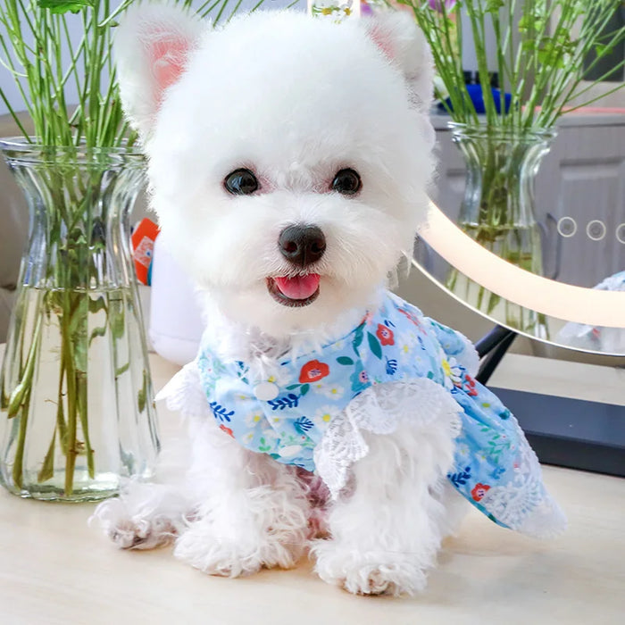 Comfortable Daisy Doggy Dress